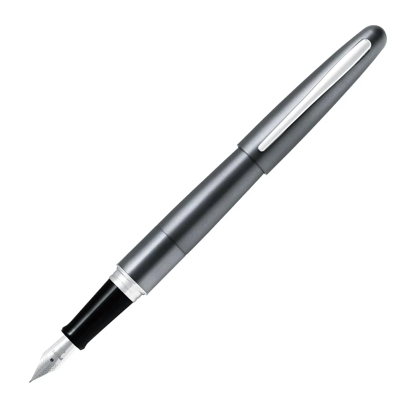 PILOT Cocoon Fountain Pen Fine Point Metallic Gray FCO-3SR-MGY-F
