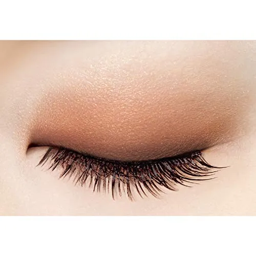 excel Skinny Rich Shadow SR03 (Royal Brown) Palette Eye Shadow