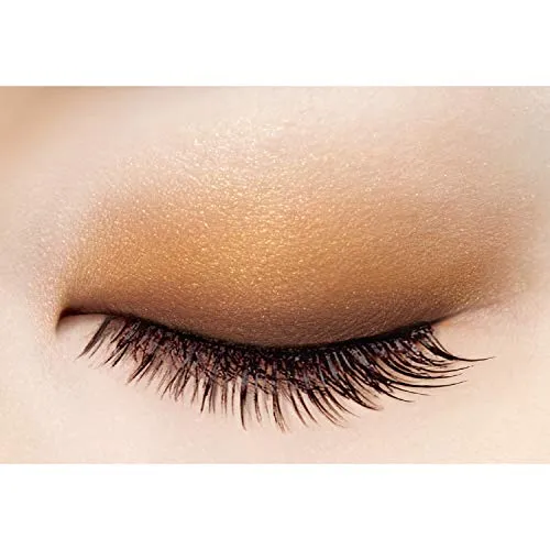 excel Skinny Rich Shadow SR02 (Real Brown) Palette Eye Shadow
