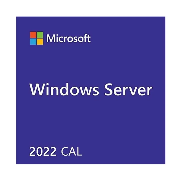 Microsoft Windows Server 2022 CAL 5 Client