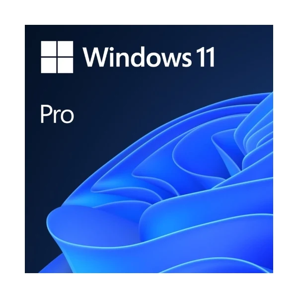 Microsoft Windows 11 Professional 64-bit OEI DVD