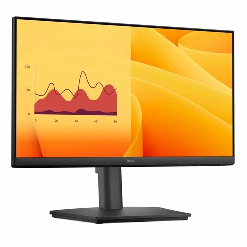 Monitor Dell E2225HSM 22" - FHD - 100Hz - VA