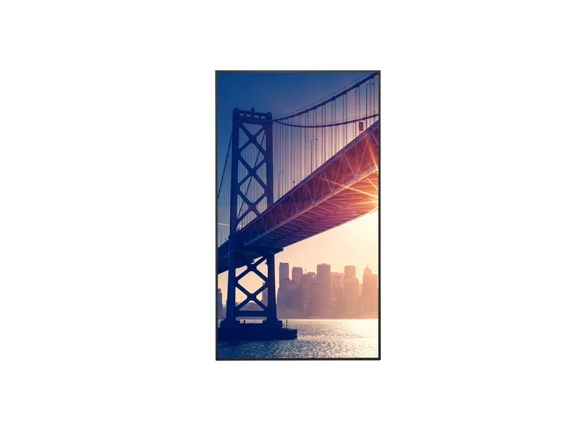 Pantalla Comercial Sharp NEC Sharp 43" Ultra High Definition Commercial Display 42.5" 4K