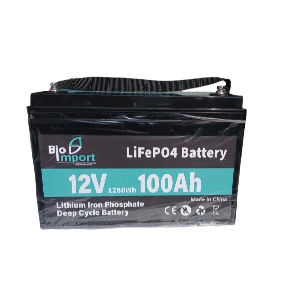 Batería BioImport LiFePO4 12V 100Ah - Carga Rápida - 8000 Ciclos - BMS Integrado